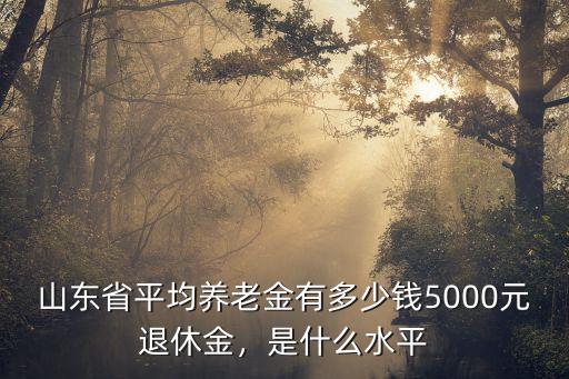 山東省平均養(yǎng)老金有多少錢5000元退休金，是什么水平
