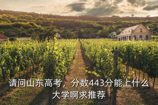 在山東最低多少分上大學,請問山東高考