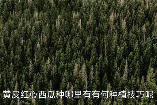 佛山哪里有種黃皮,黃皮有哪些品種