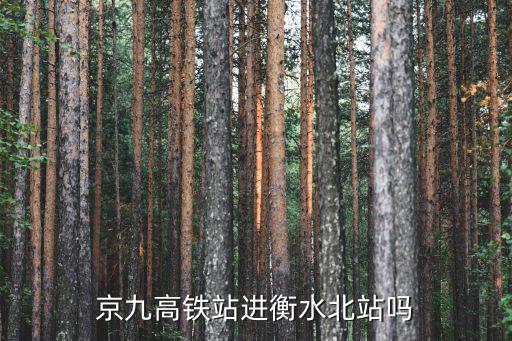 衡水北站到濟南站坐高鐵要經過多少站,京九高鐵衡水有哪幾站