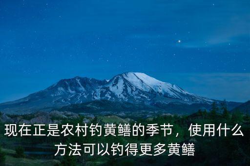 深圳哪里能釣黃鱔,深圳哪里可以釣到大魚