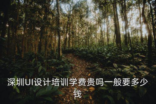 深圳UI設計培訓學費貴嗎一般要多少錢