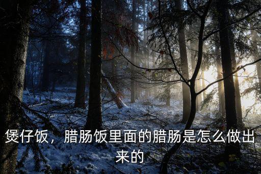 廣州臘腸煲仔飯怎么做,臘味煲仔飯怎么做最好吃