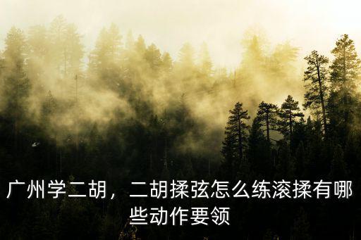 廣州哪里可以學(xué)二胡,哪里可以學(xué)二胡