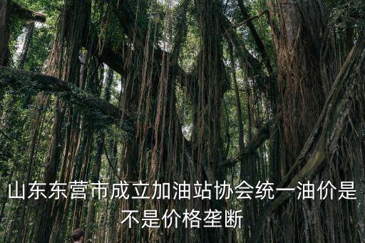山東東營市成立加油站協會統一油價是不是價格壟斷