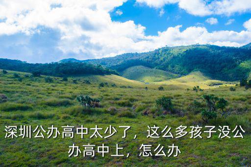 深圳一共多少所民辦高中,深圳公辦高中太少了
