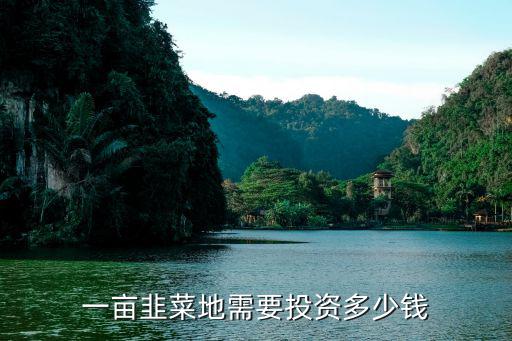 2021年廣東韭菜批發(fā)價多少錢,一畝韭菜地需要投資多少錢