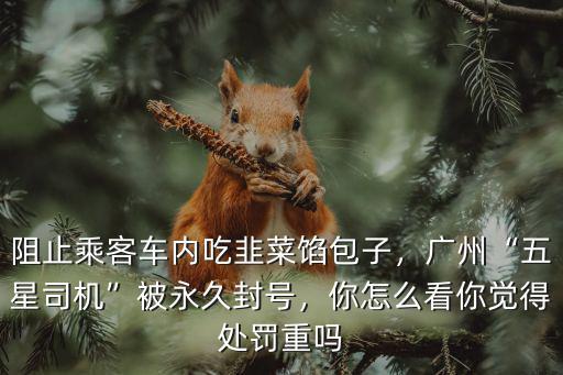 廣州五星司機停車怎么處罰,廣州五星司機被永久封號