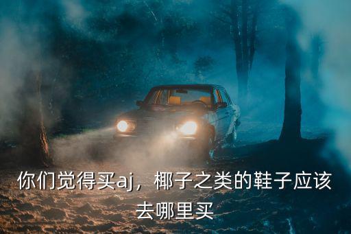 你們覺(jué)得買aj，椰子之類的鞋子應(yīng)該去哪里買