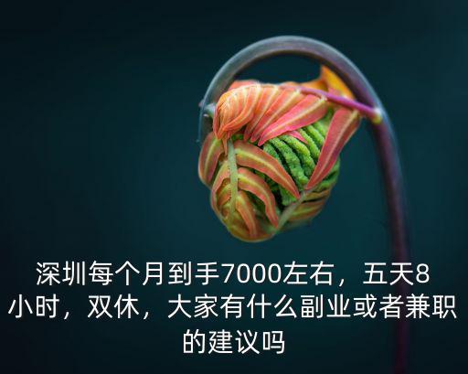 深圳每個月到手7000左右，五天8小時，雙休，大家有什么副業或者兼職的建議嗎