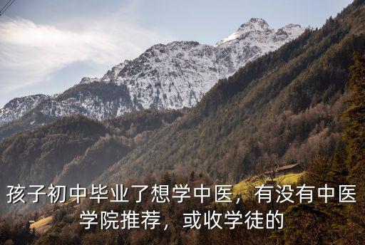 廣州哪里有學中醫的地方,孩子初中畢業了想學中醫
