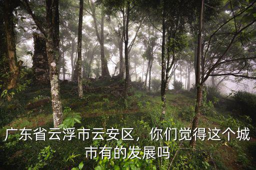 云浮市云安區的經濟怎么樣,廣東省云浮市云安區
