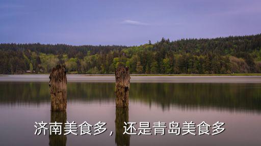 濟南青島飯店工資是多少錢,還是青島美食多