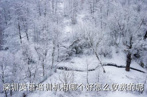 深圳英語培訓機構(gòu)哪個好怎么收費的呢