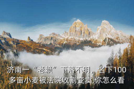 濟南一“老賴”下落不明，名下100多畝小麥被法院收割變賣,你怎么看
