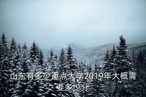 青島大學代號是多少2019,2019年大概需要多少分
