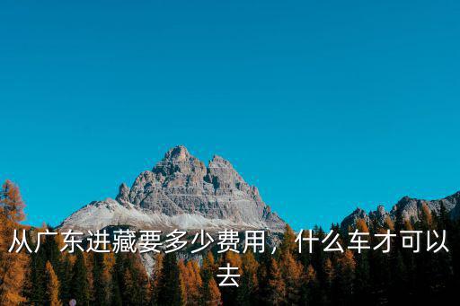 從廣東進藏要多少費用，什么車才可以去