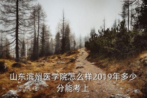 山東濱州醫學院怎么樣2019年多少分能考上