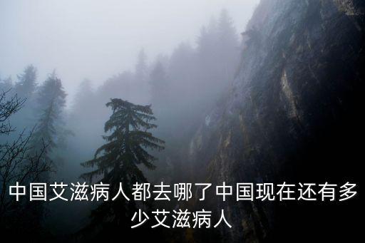泰安市有多少艾滋病人,中國(guó)現(xiàn)在還有多少艾滋病人