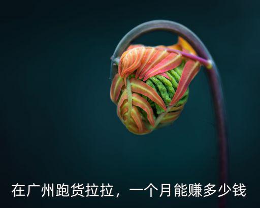 在廣州跑貨拉拉，一個月能賺多少錢
