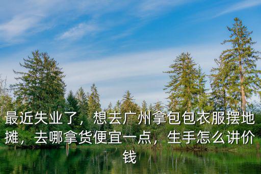 最近失業了，想去廣州拿包包衣服擺地攤，去哪拿貨便宜一點，生手怎么講價錢