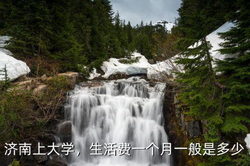 在山東濟南上大學一個月生活費多少,一家三口生活費多少才夠用
