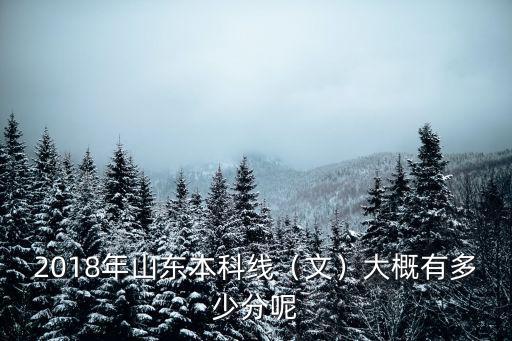 2018年山東本科線（文）大概有多少分呢