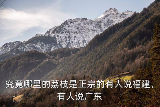 究竟哪里的荔枝是正宗的有人說福建，有人說廣東
