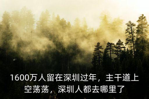 安又琪深圳哪里人,來了就是深圳人