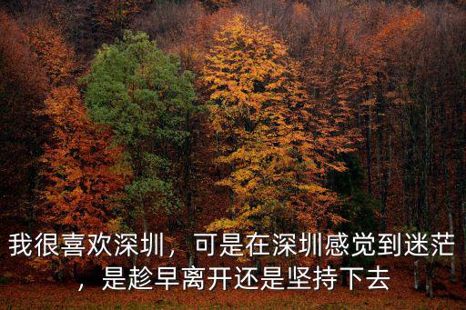 我很喜歡深圳，可是在深圳感覺到迷茫，是趁早離開還是堅持下去