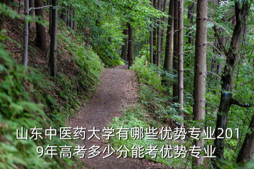 山東中醫(yī)藥大學有哪些優(yōu)勢專業(yè)2019年高考多少分能考優(yōu)勢專業(yè)