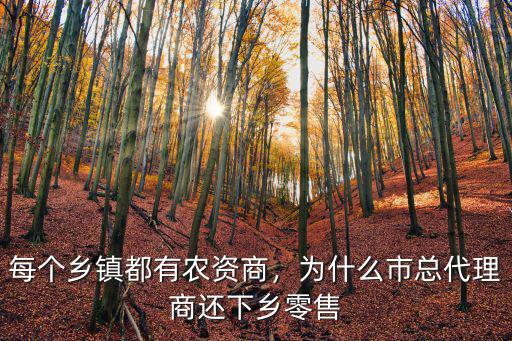 梅州農資經銷商有多少,每個鄉鎮都有農資商