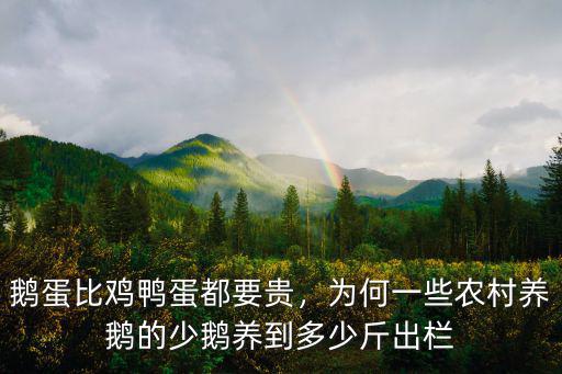 浙江鵝蛋多少一斤,鵝蛋七元一個