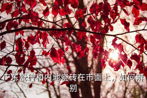 廣東瓷磚和內(nèi)地瓷磚在市面上，如何辨別