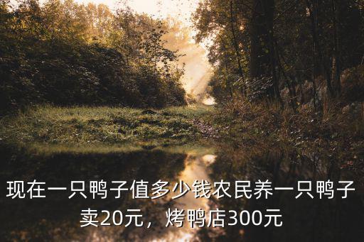舟山散養鴨多少錢,現在一只鴨子值多少錢