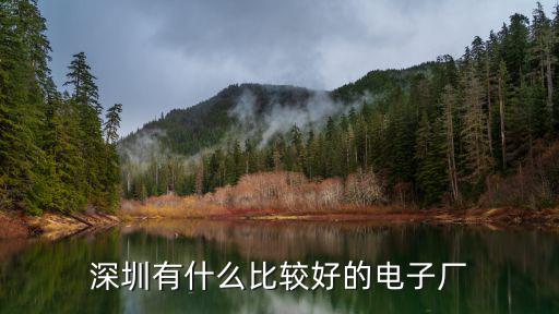 深圳哪里有庫存電子廠,深圳有什么比較好的電子廠