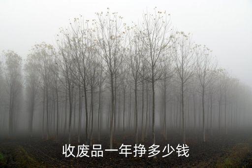 收廢品一年掙多少錢