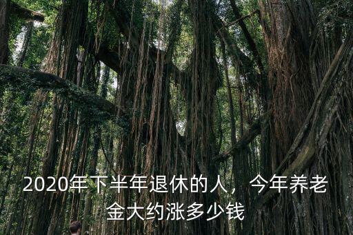 山東2020年退休人員工資漲多少,2020年下半年退休的人