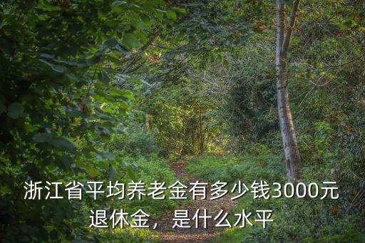 浙江省平均養(yǎng)老金有多少錢3000元退休金，是什么水平