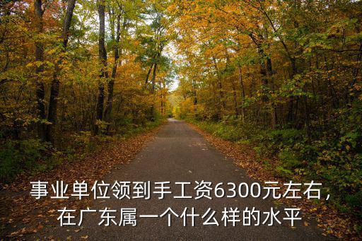 事業(yè)單位領(lǐng)到手工資6300元左右，在廣東屬一個什么樣的水平