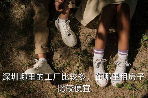 深圳電子廠幾乎在哪里,深圳哪里的工廠比較多