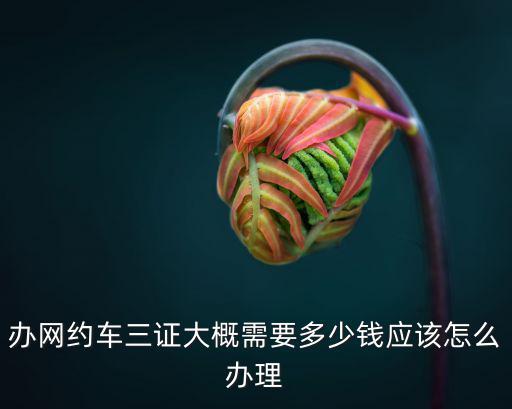 濟南網約車司機辦理費用多少錢,大約需要多少費用