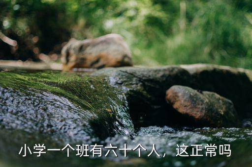 山東省小學一班多少人,山東省的學生有多苦
