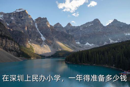 在深圳上民辦小學(xué)，一年得準(zhǔn)備多少錢