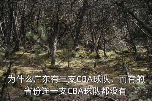 為什么廣東有三支CBA球隊，而有的省份連一支CBA球隊都沒有