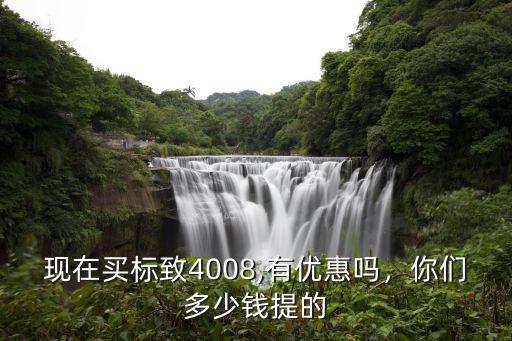 臺(tái)州4008優(yōu)惠多少,標(biāo)志4008現(xiàn)在多少價(jià)格