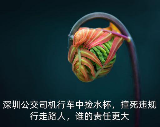 深圳公交司機怎么判刑,深圳公交司機行車中撿水杯