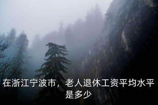 浙江退休人員養(yǎng)老金是多少,在浙江寧波市