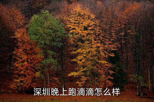 深圳晚上跑滴滴怎么樣