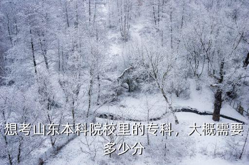 山東專升本 英語應(yīng)該考多少分,山東專升本管理學(xué)專業(yè)